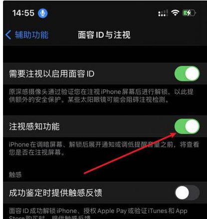 前海街道苹果14维修网点分享iPhone14注视感知功能有什么用 